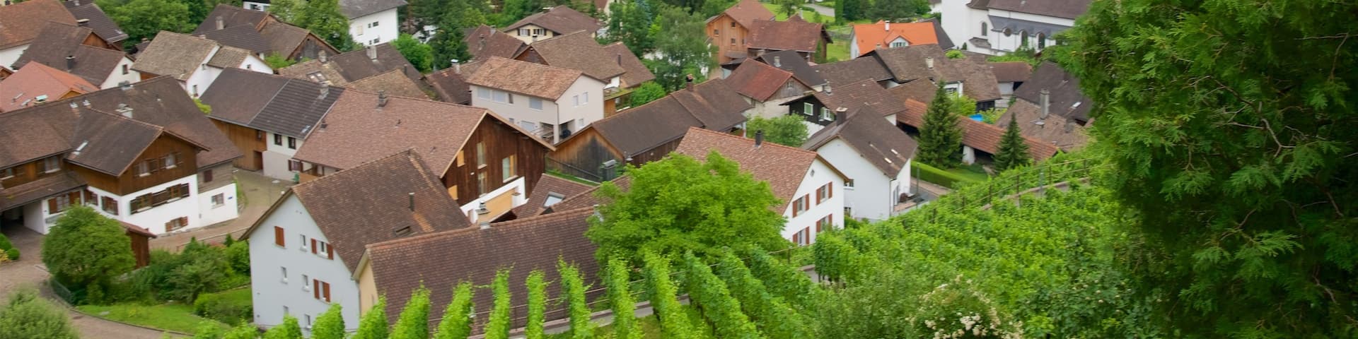 Liechtenstein showing farmland, tranquil scenes and a small town or village