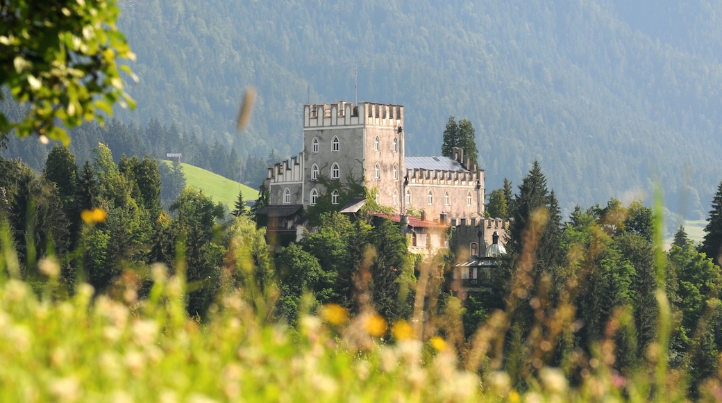 ภาพโดย Astner Stefan/Tourismusverband Kitzbüheler Alpen – Hohe Salve