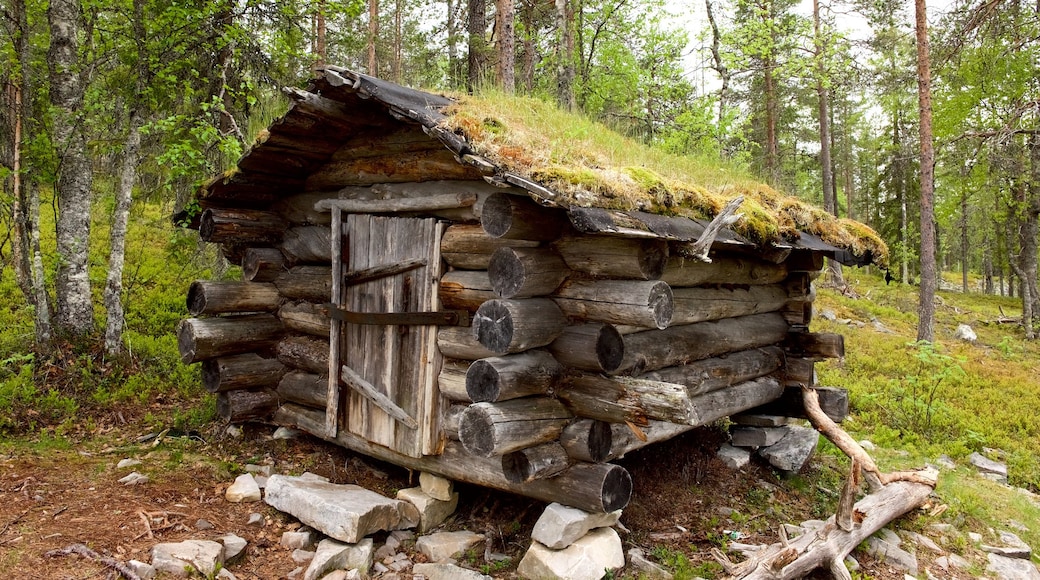 Pyha-Luosto Nationalpark das einen Wälder