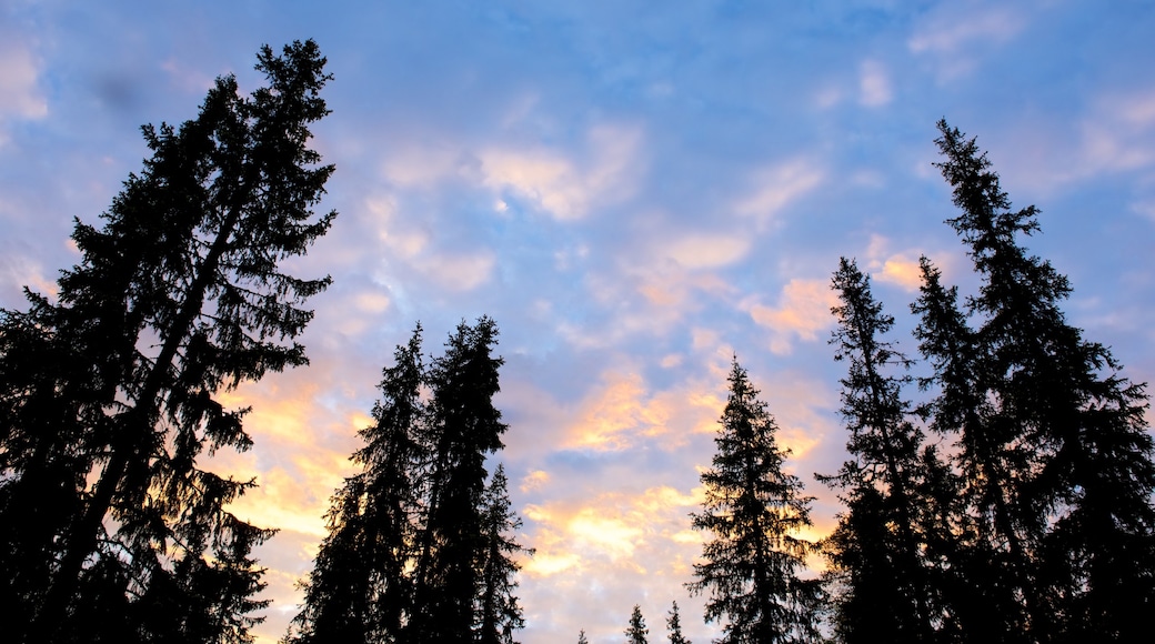 Luosto joka esittää auringonlasku ja rauhalliset maisemat