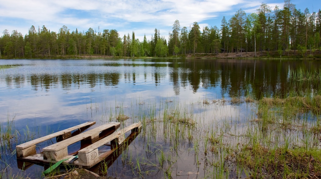 Luosto welches beinhaltet Waldmotive und Fluss oder Bach