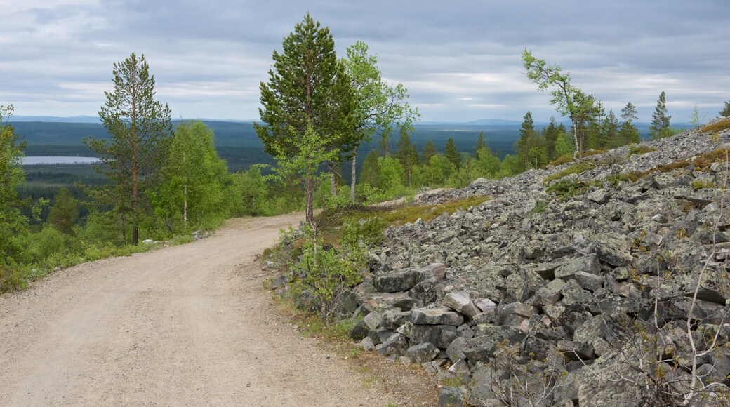 Pyhätunturi joka esittää maisemat ja rauhalliset maisemat