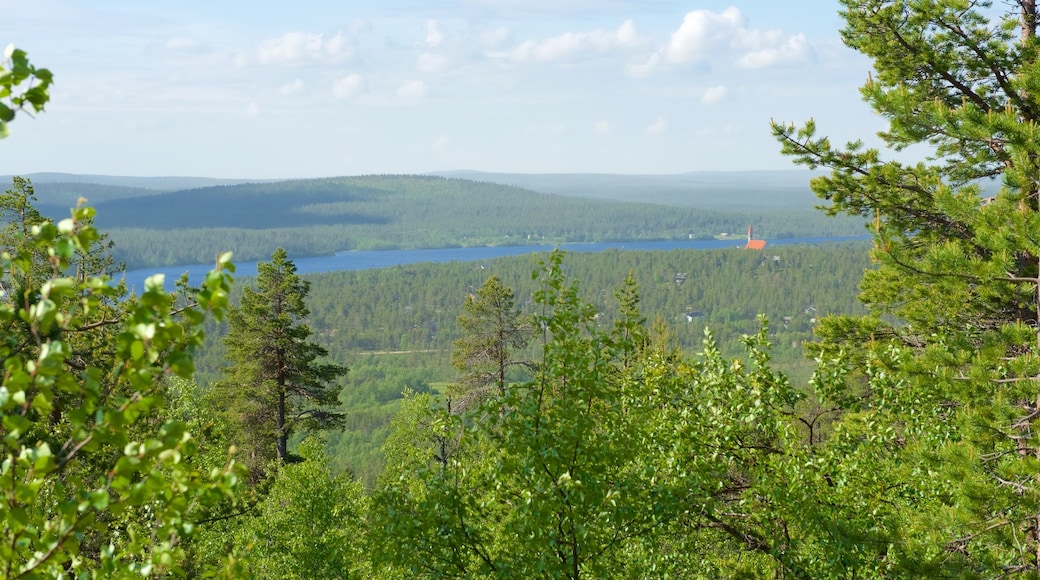 Enontekio toont vredige uitzichten, bossen en landschappen