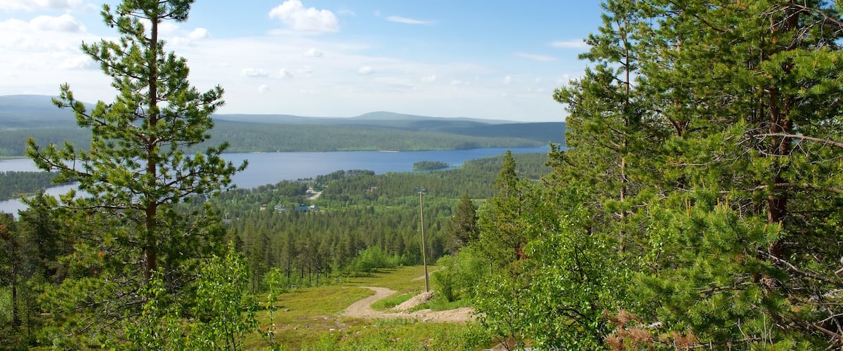 Enontekio which includes a river or creek, landscape views and forest scenes