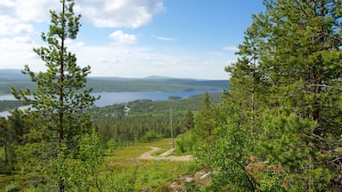 Enontekio which includes a river or creek, landscape views and forest scenes