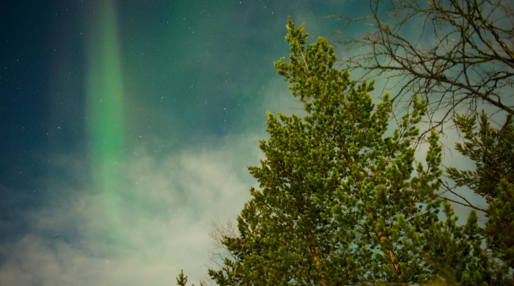 Kaaresuvanto showing northern lights