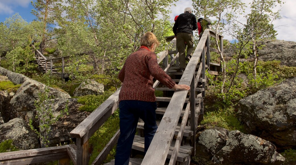 Inari que incluye senderismo o caminata y un jardín y también una pareja