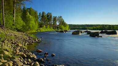 Inari johon kuuluu järvi tai vesikuoppa ja rauhalliset maisemat