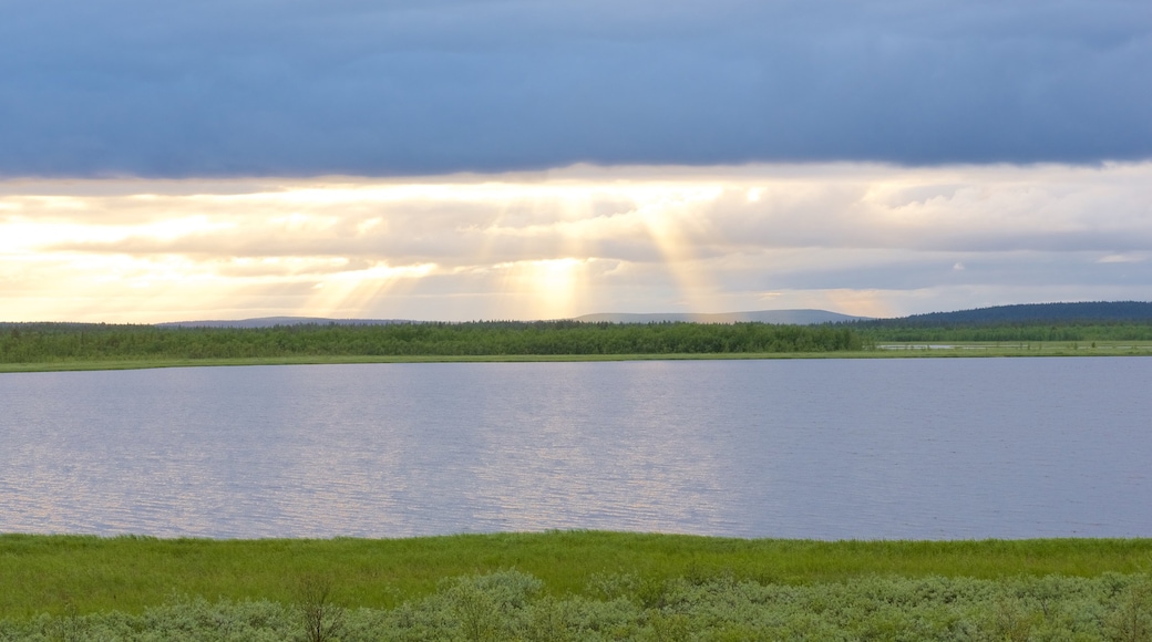 Sotkajärven fågelskådningstorn presenterar landskap, stillsam natur och en å eller flod