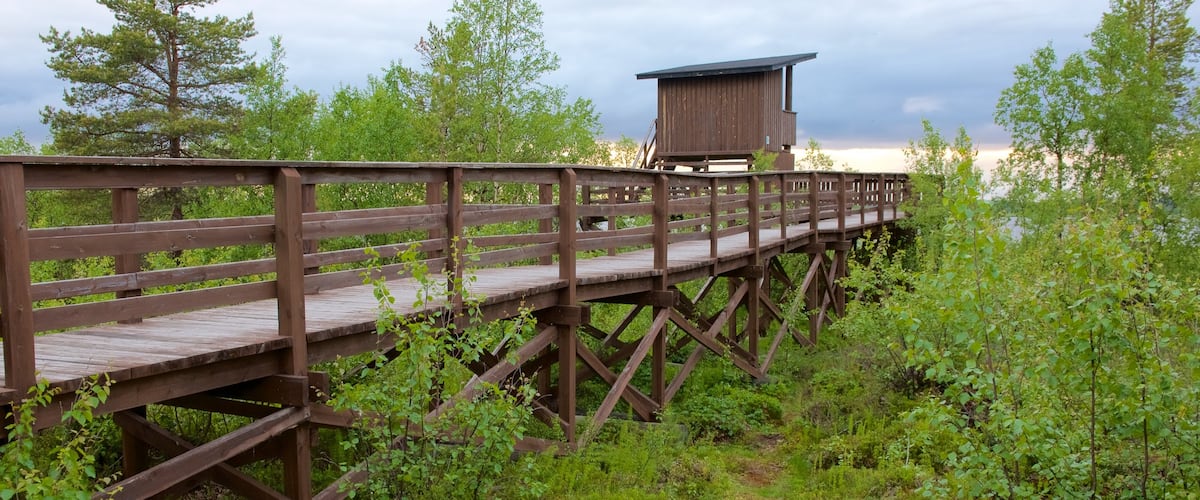 Sotkajarven Bird-Watching Tower featuring tranquil scenes, views and wetlands