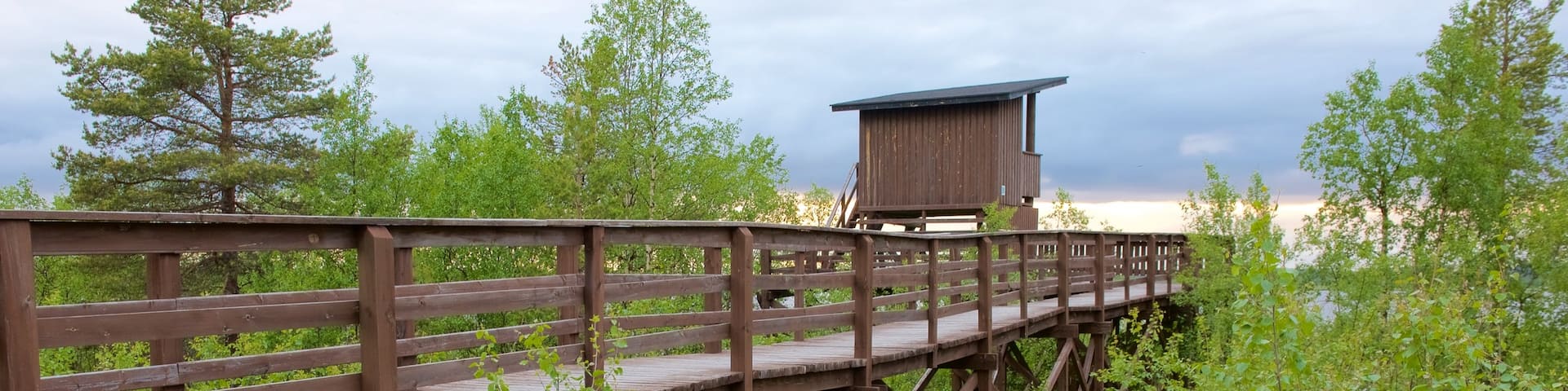 Sotkajarven Bird-Watching Tower featuring views, tranquil scenes and wetlands