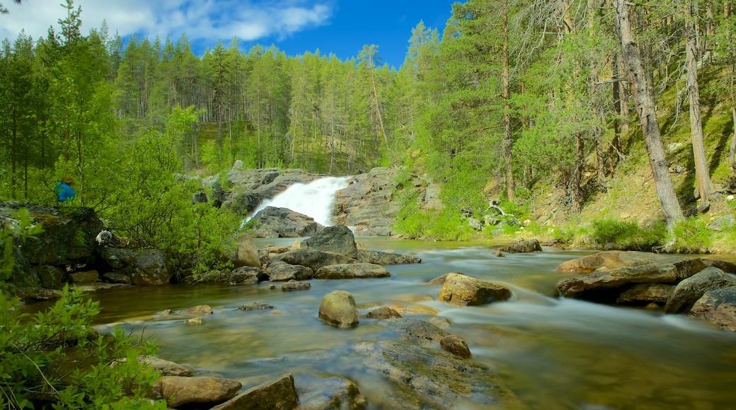 Finlandia ofreciendo un río o arroyo, escenas forestales y escenas tranquilas