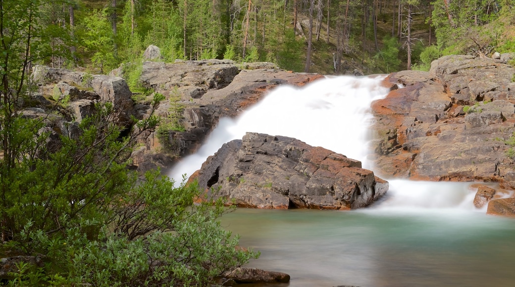 Lemmenjoki nasjonalpark som inkluderer rolig landskap, fossestryk og skog