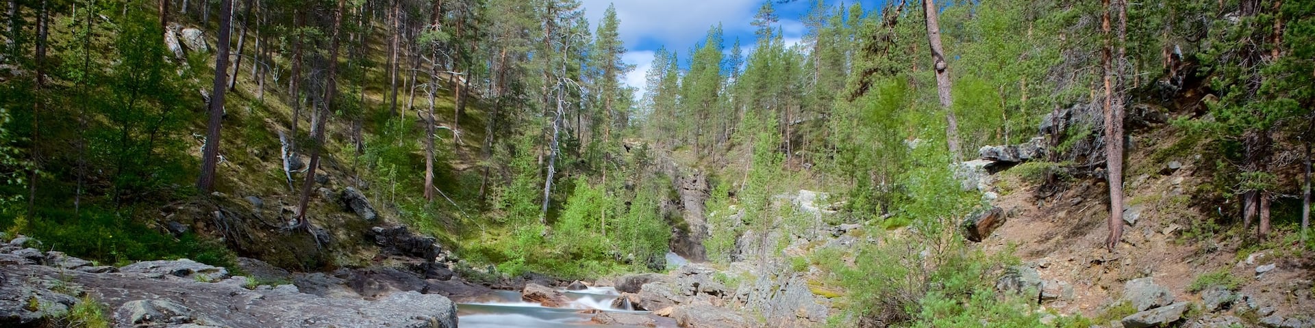 Lemmenjoki National Park showing rapids, tranquil scenes and forests