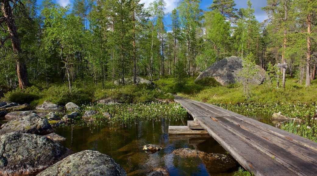 Pielpajärven erämaakirkko joka esittää suo, metsänäkymät ja silta