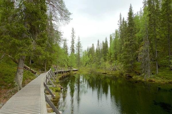 Pyha-Luosto National Park featuring forest scenes and a lake or waterhole