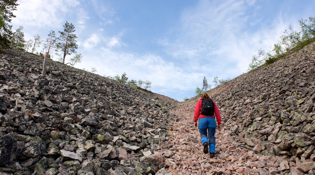 Parco Nazionale di Pallas-Yllastunturi caratteristiche di montagna e escursioni o camminate cosi come ragazza