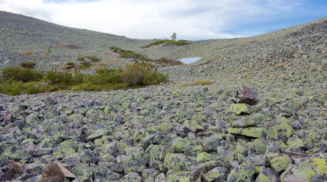 Parco Nazionale di Pallas-Yllastunturi mostrando paesaggi rilassanti e montagna