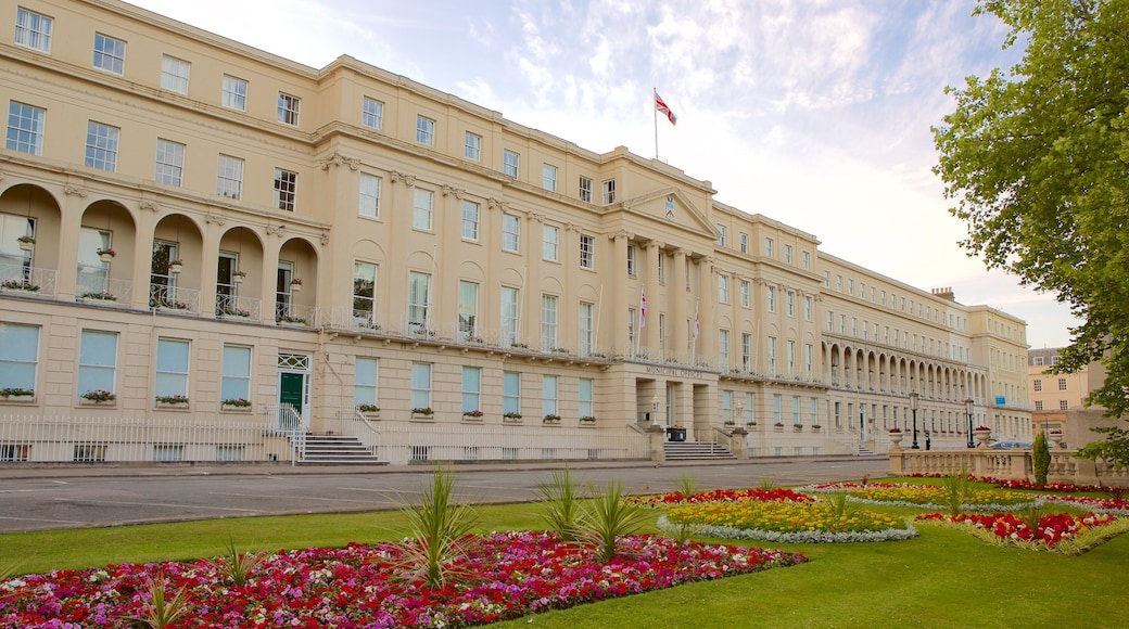 Cheltenham featuring an administrative building, flowers and heritage architecture