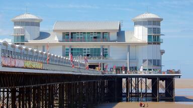 The Grand Pier mettant en vedette plage, vues et signalisation