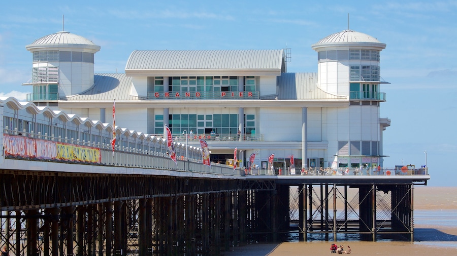 The Grand Pier showing a beach, views and signage