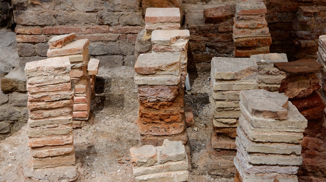 Roman Baths showing building ruins, interior views and heritage elements