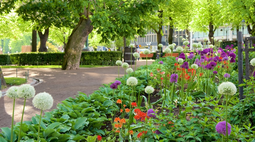 Esplanadi showing flowers and a park