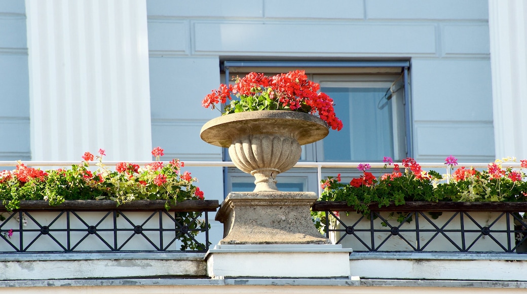 Helsingfors stadshus som visar blommor