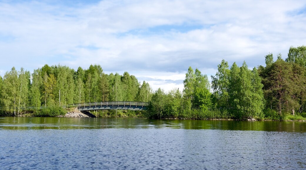 Rovaniemi featuring a bridge, forest scenes and a river or creek