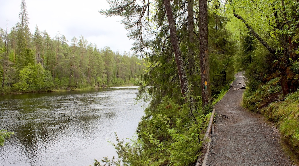 Oulanka som inkluderar en å eller flod och skogar