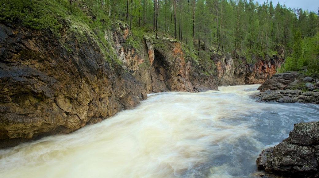 Oulanka which includes a gorge or canyon, forest scenes and rapids