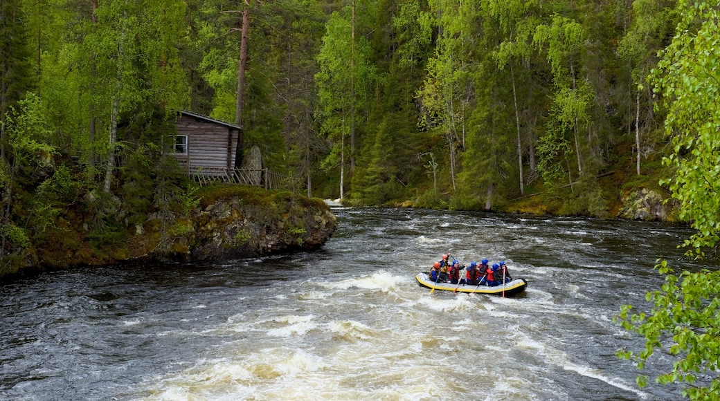 Oulanka showing rapids, forests and rafting