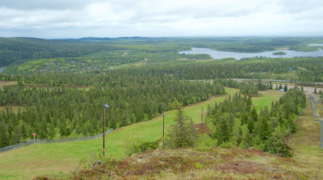 Rukatunturi som visar landskap, stillsam natur och skogar