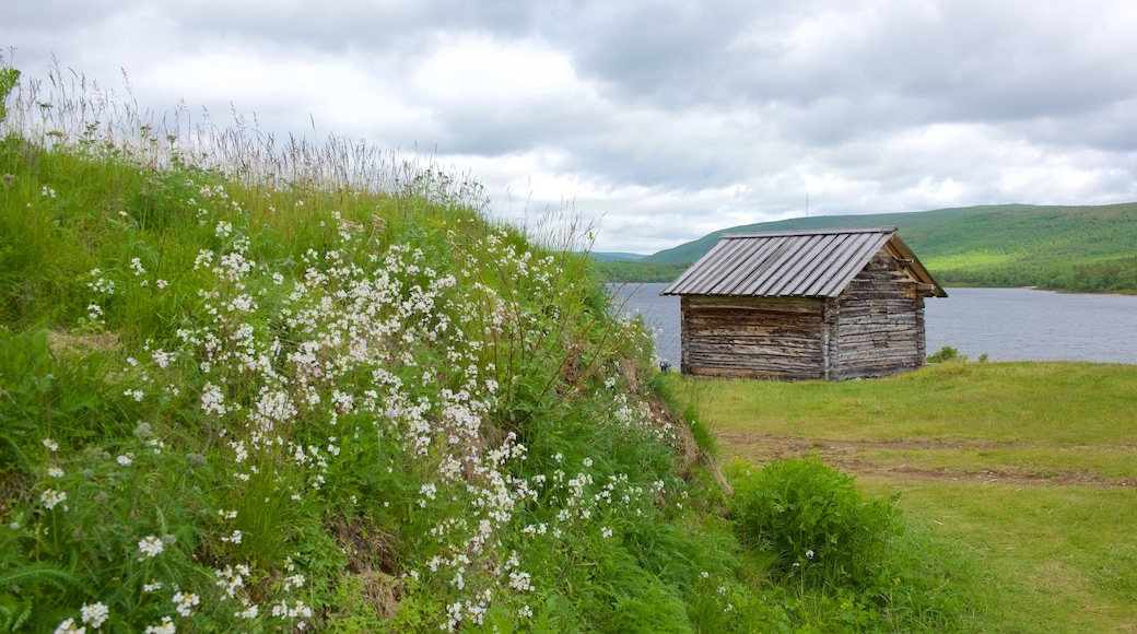 Utsjoki som viser vilde blomster, et hus og fredfyldte omgivelser