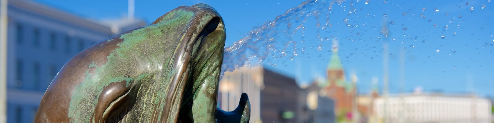 Kauppatori Market Square showing a fountain