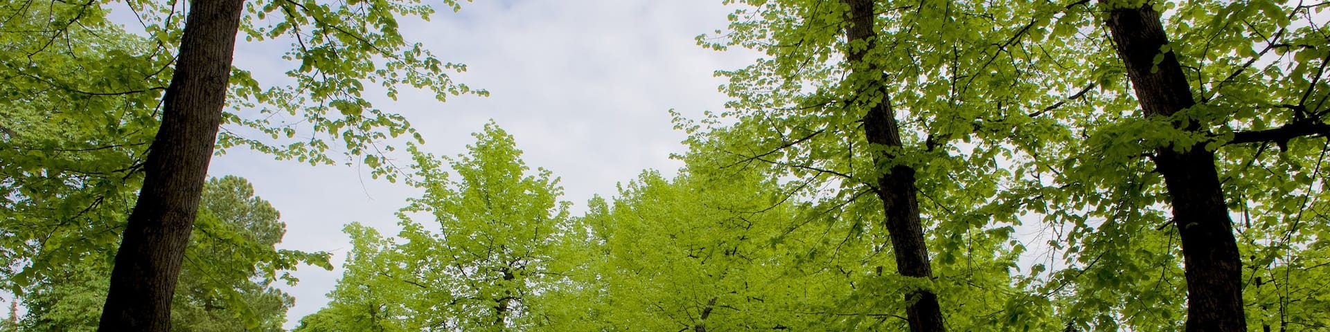 坎皮, 赫爾辛基, 新地區, 芬蘭