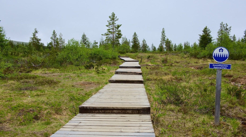 Urho Kekkonen nasjonalpark fasiliteter samt skilt, rolig landskap og bro