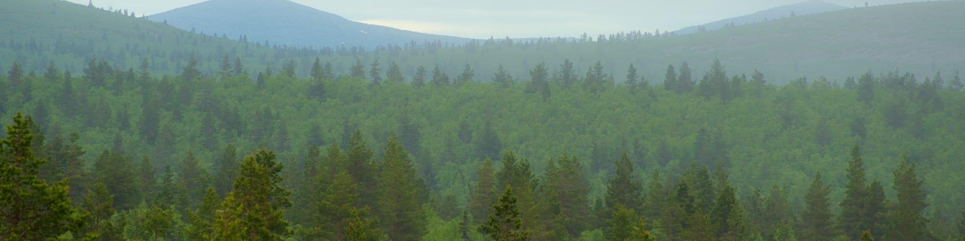 Urho Kekkonen National Park which includes landscape views, tranquil scenes and forest scenes