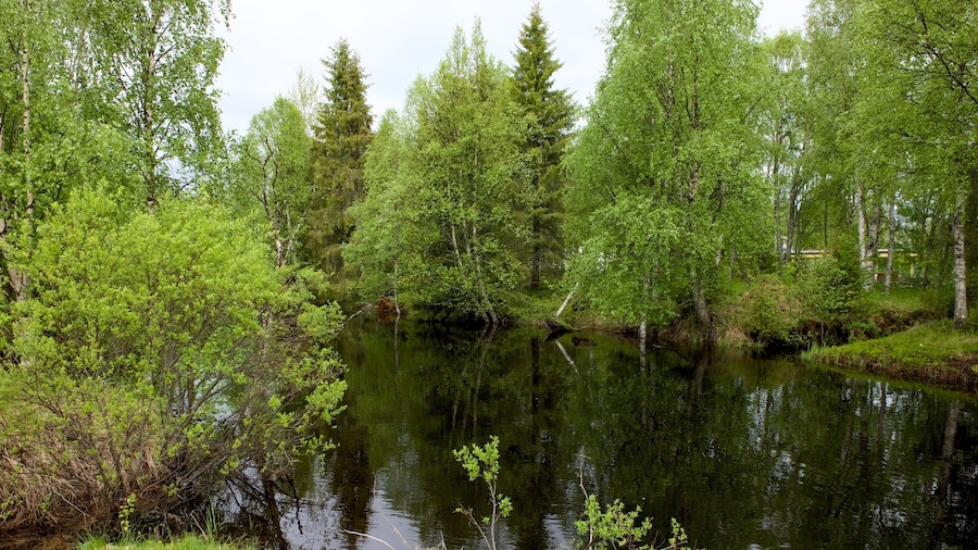 Taman Kuusamo