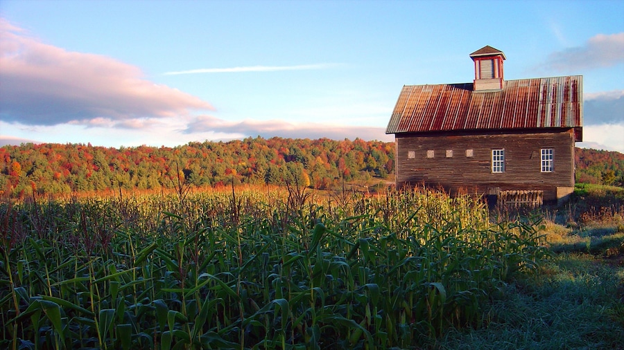 Stowe showing fall colors, farmland and a house