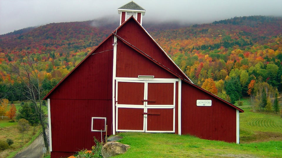 Stowe mostrando tierras de cultivo, neblina o niebla y una casa