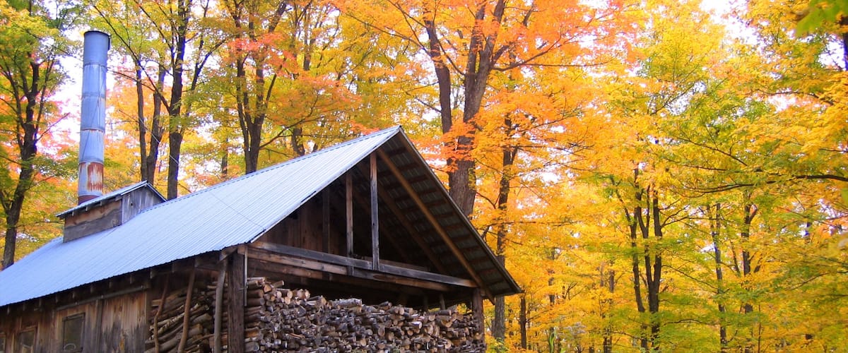 Stowe mostrando los colores del otoño, una casa y bosques