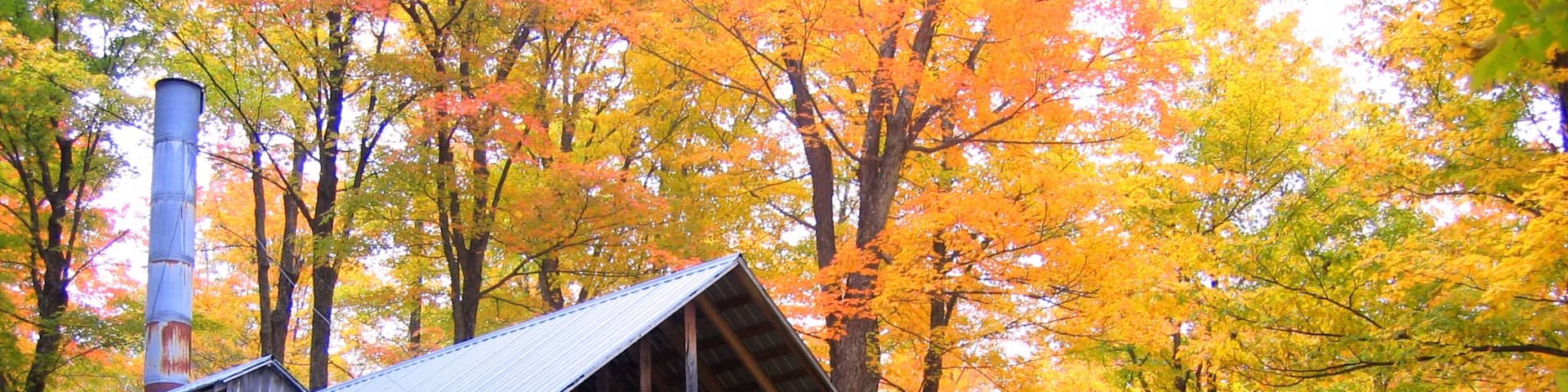 Stowe qui includes maison, feuilles d\'automne et scènes forestières