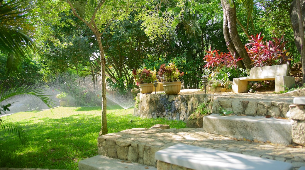 Jardín Botánico de Acapulco mostrando un parque