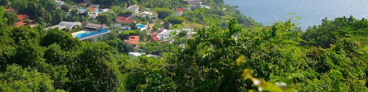 Acapulco welches beinhaltet allgemeine Küstenansicht, Küstenort und Landschaften