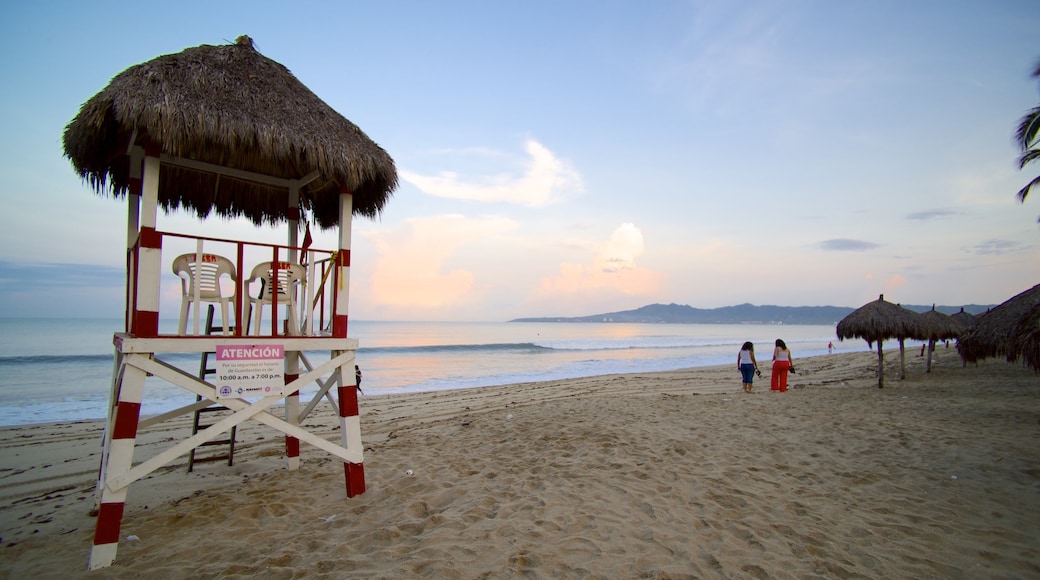 Nuevo Vallarta Beach showing a beach and tropical scenes