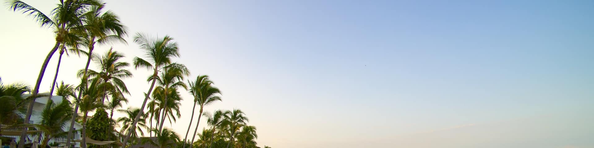 Nuevo Vallarta Beach featuring a beach and tropical scenes