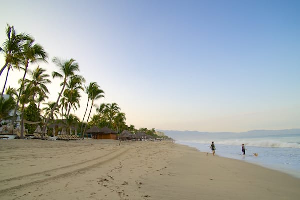 Plage de Nuevo Vallarta montrant plage et scènes tropicales