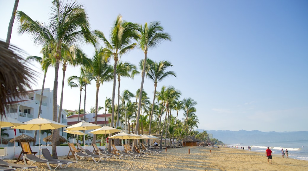 Nuevo Vallarta strand som inkluderar en sandstrand, ett lyxhotell och tropisk natur