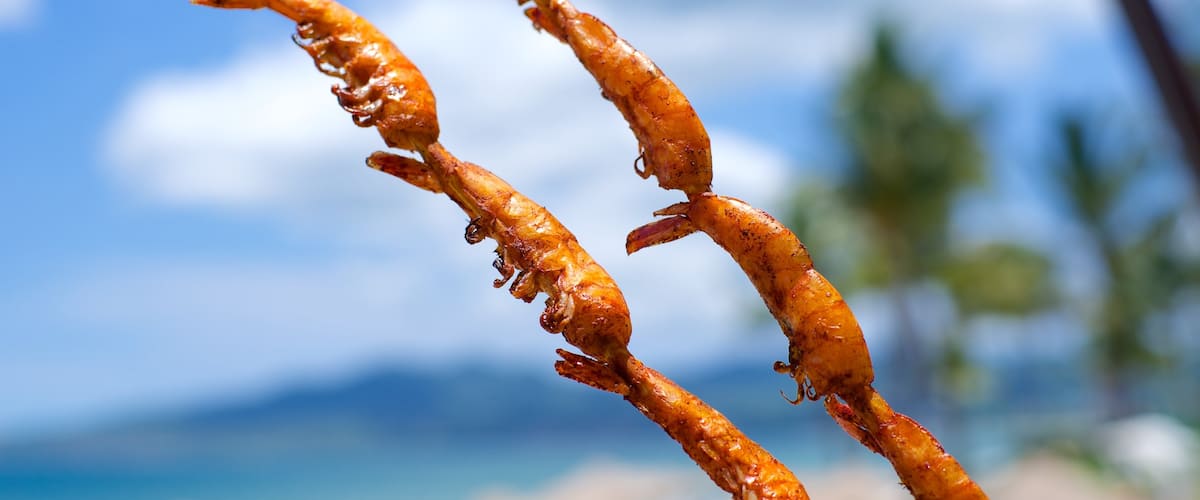 Nuevo Vallarta mostrando comida